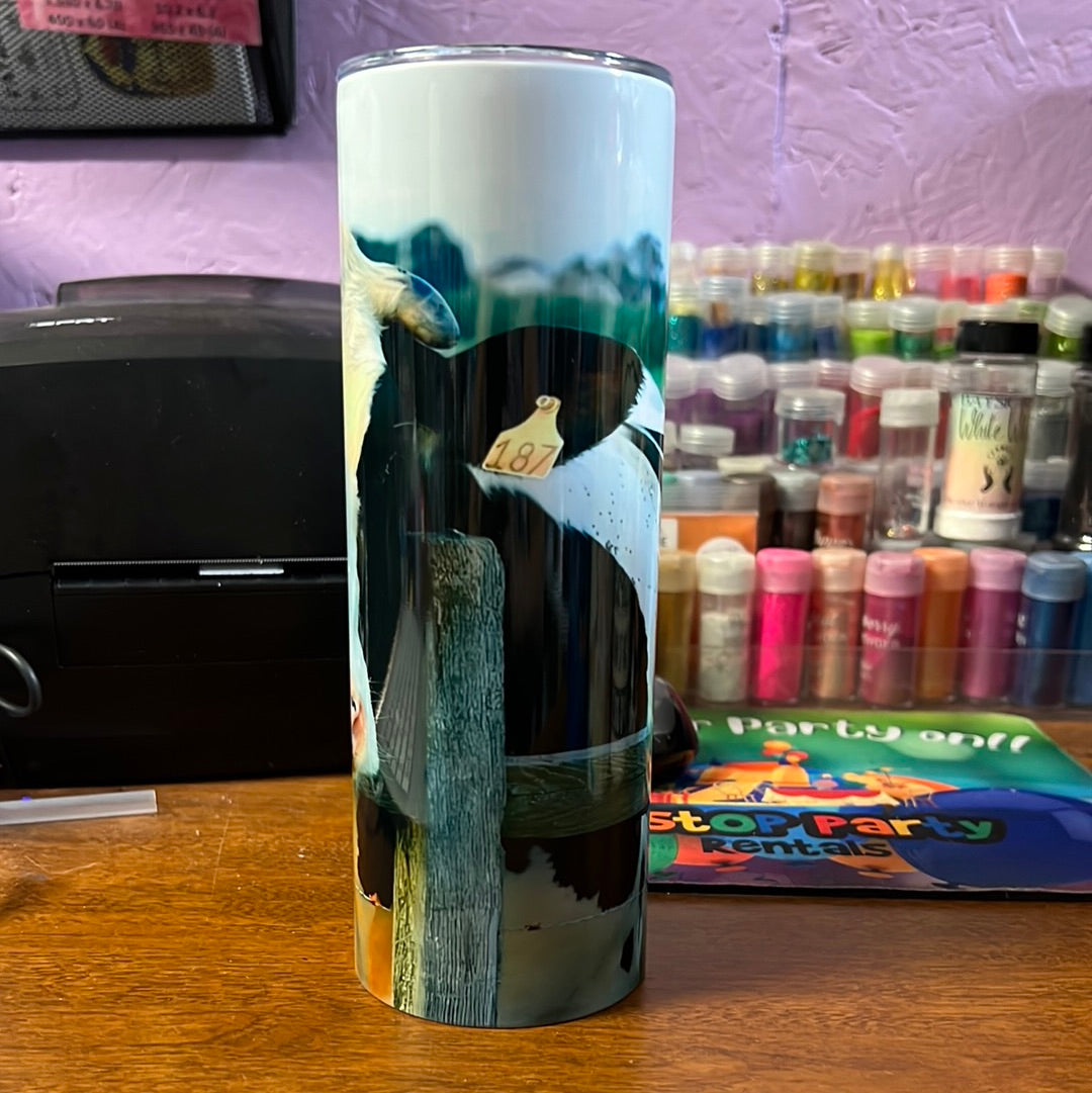 20 oz tumbler - Black & white cow