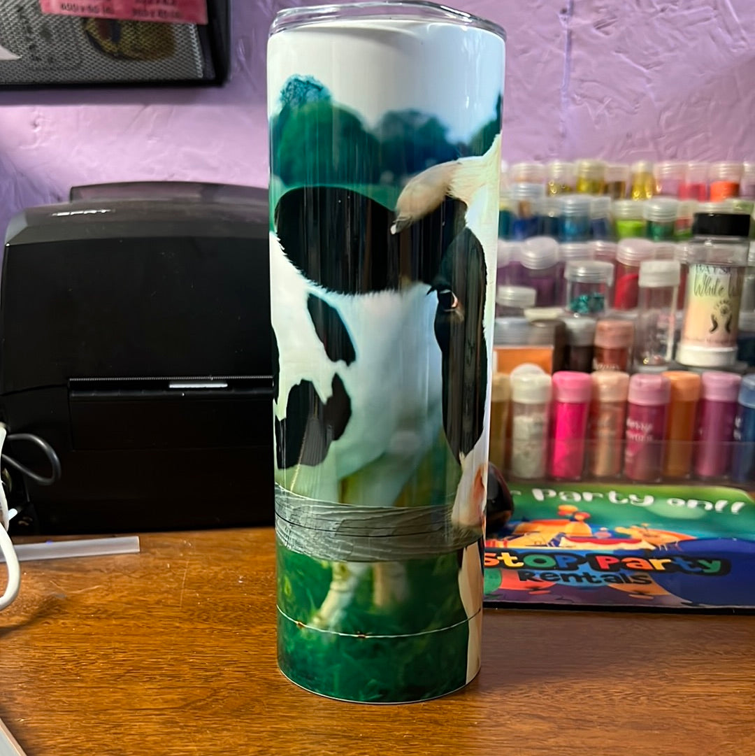 20 oz tumbler - Black & white cow