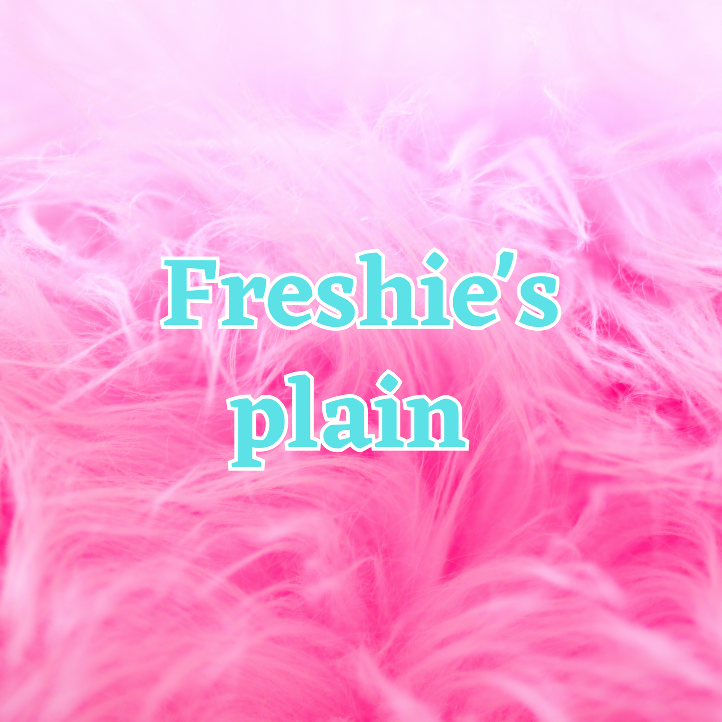 Custom Freshie Plain